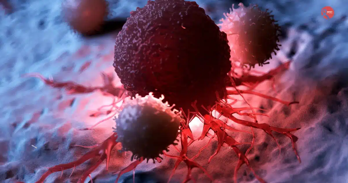 Multiple Myeloma blood cancer cells diagram — Dr. Ekta Vala, haematologist Ahmedabad